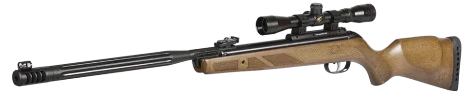 Gamo Hunter Scope
